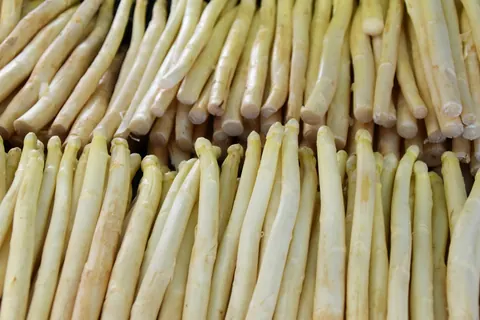 Frischer weißer Spargel